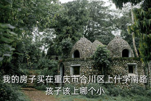 合川区哪个学区房最好，我的房子买在重庆市合川区上什字南路孩子该上哪个小
