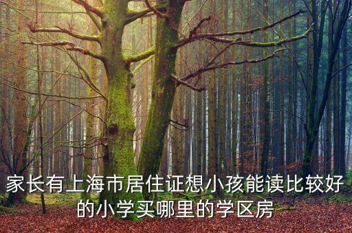 家长有上海市居住证想小孩能读比较好的小学买哪里的学区房