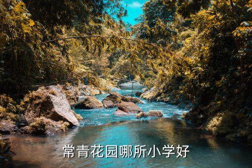 常青花园哪所小学好