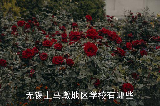 无锡上马墩地区学校有哪些