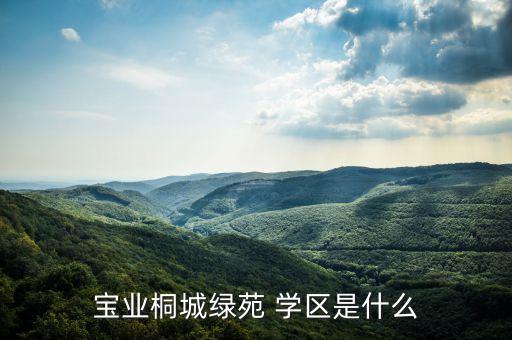 宝业桐城绿苑 学区是什么