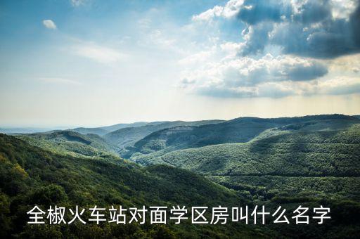 全椒火车站对面学区房叫什么名字