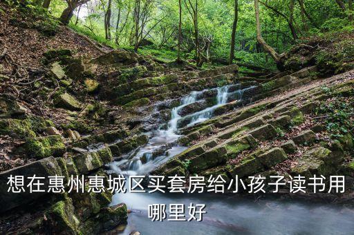 惠州哪个小区学区房最好，孩子上学在大丰小学就想问问附近有没有合适的楼盘 那种学区房就最