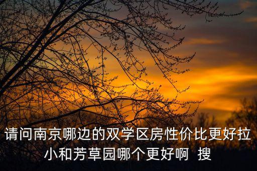 南京哪个地方学区房好，请问南京哪边的双学区房性价比更好拉小和芳草园哪个更好啊  搜