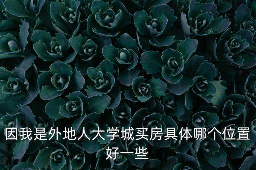 因我是外地人大学城买房具体哪个位置好一些