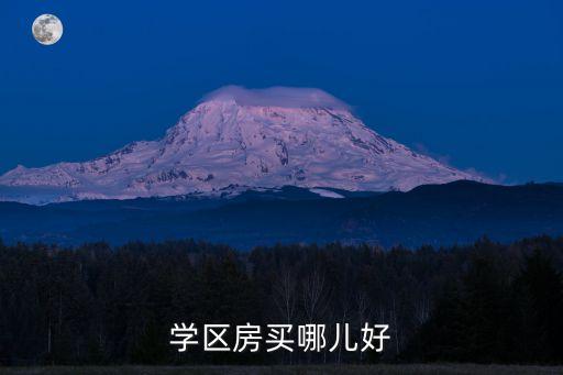 学区房买哪儿好