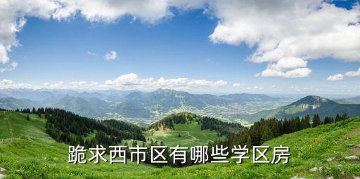 跪求西市区有哪些学区房