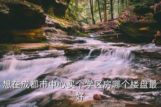 想在成都市中心买个学区房哪个楼盘最好