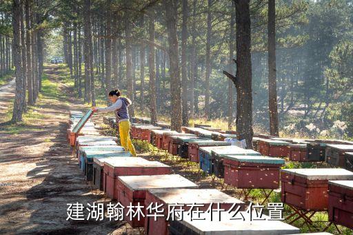建湖翰林华府在什么位置