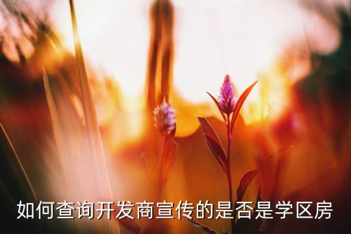 如何查询开发商宣传的是否是学区房