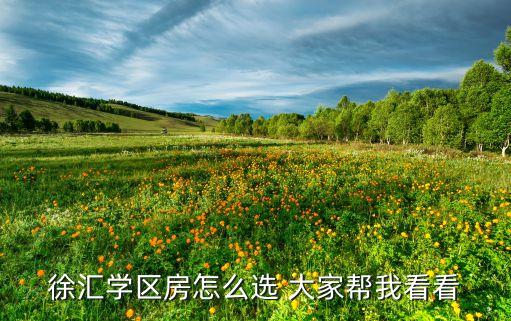 徐汇学区房怎么选 大家帮我看看
