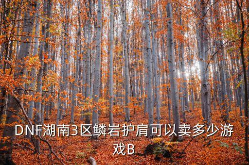 DNF湖南3区鳞岩护肩可以卖多少游戏B