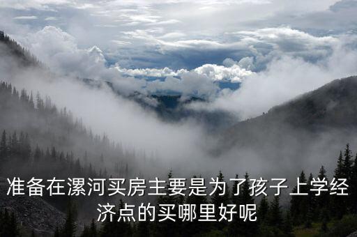 准备在漯河买房主要是为了孩子上学经济点的买哪里好呢