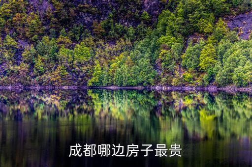 成都哪边房子最贵
