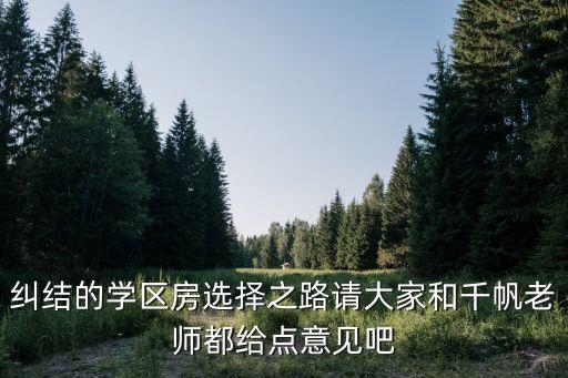 天津新开河街哪个学区房最值得，请教20小学区房
