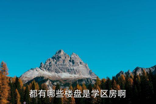 都有哪些楼盘是学区房啊