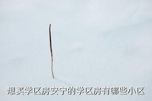 想买学区房安宁的学区房有哪些小区