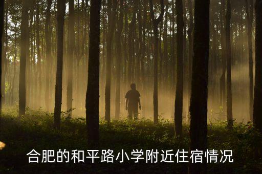 合肥的和平路小学附近住宿情况