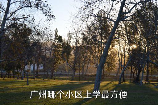 广州哪个小区上学最方便