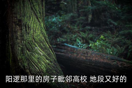 阳逻那里的房子毗邻高校 地段又好的