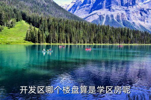 开发区哪个楼盘算是学区房呢