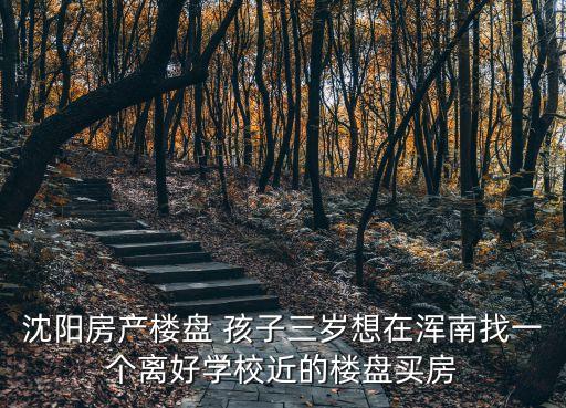 沈阳浑南学区房有哪些，我想问下沈阳浑南大道SR附近楼盘规划的小学都是哪