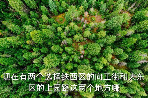 现在有两个选择铁西区的向工街和大东区的上园路这两个地方哪