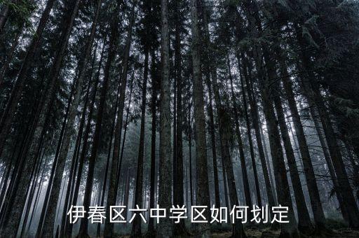 伊春区六中学区如何划定