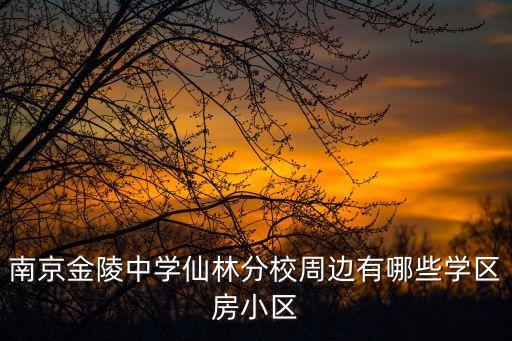 南京金陵中学仙林分校周边有哪些学区房小区