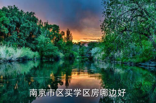 南京哪个学区房最好租一些，请问南京哪边的双学区房性价比更好拉小和芳草园哪个更好啊  搜