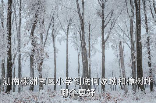 湖南株洲南区小学到底何家坳和樟树坪哪个更好