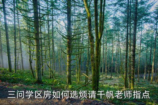 三问学区房如何选烦请千帆老师指点