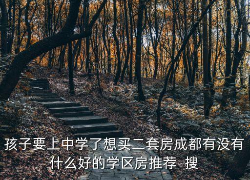 孩子要上中学了想买二套房成都有没有什么好的学区房推荐  搜