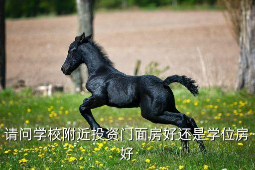 请问学校附近投资门面房好还是学位房好