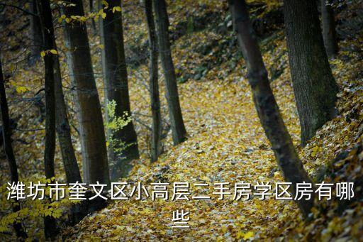 潍坊市奎文区小高层二手房学区房有哪些