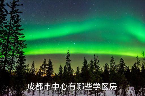 成都市中心有哪些学区房