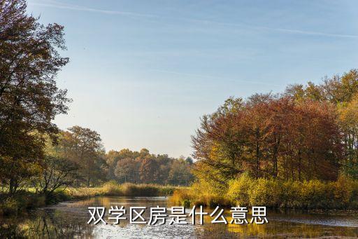 双学区房是什么意思