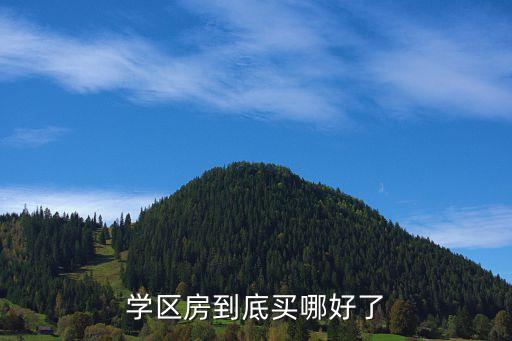 学区房到底买哪好了