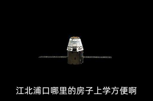江北浦口哪里的房子上学方便啊