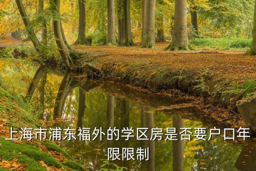 福里矶哪个学区房好卖点，大连市金州区连大文润金宸3期是101中学的学区房吗