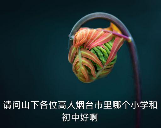 烟台学区房哪个学校好，咨询关于烟台较好的小学要买房子