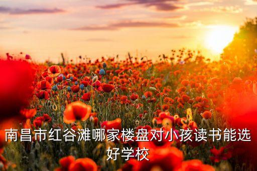 南昌市红谷滩哪家楼盘对小孩读书能选好学校