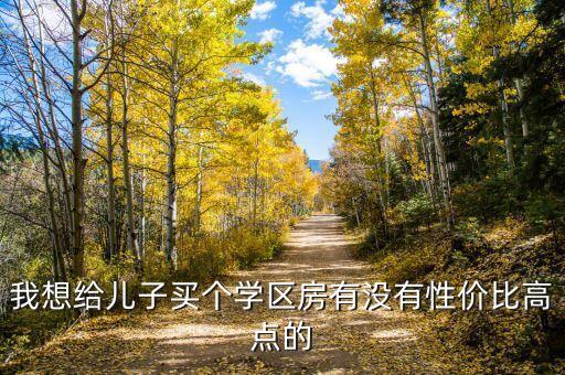 我想给儿子买个学区房有没有性价比高点的