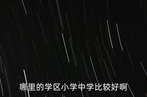 哪里的学区小学中学比较好啊