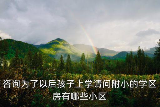 咨询为了以后孩子上学请问附小的学区房有哪些小区