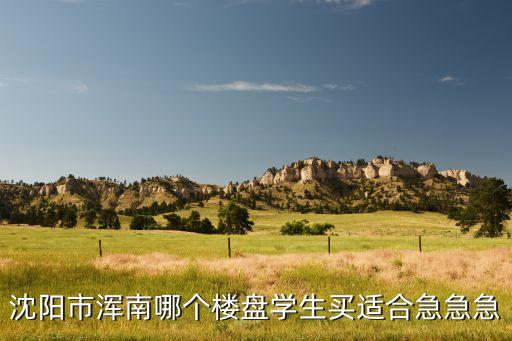 沈阳市浑南哪个楼盘学生买适合急急急