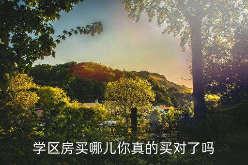 学区房买哪儿你真的买对了吗
