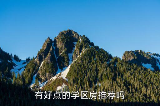 有好点的学区房推荐吗