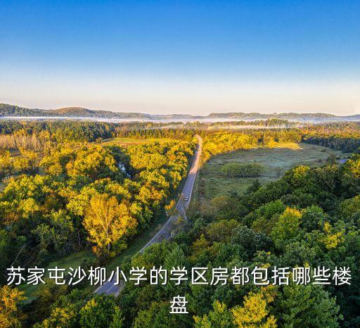 苏家屯沙柳小学的学区房都包括哪些楼盘