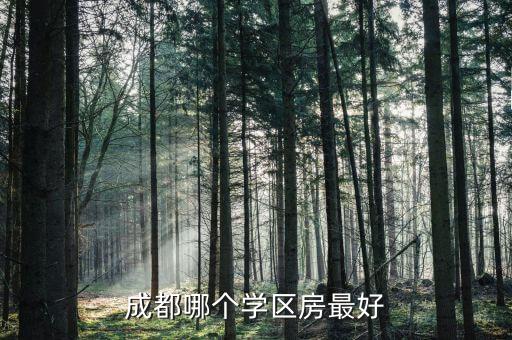 星汇半岛学区房哪个好，成都哪个学区房最好